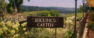 fi_einladung bueckingsgarten